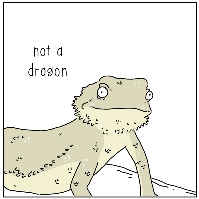 https://cdn.tinyview.com/they-can-talk/2025/05/05/bearded-dragon/beardeddragon3.jpg