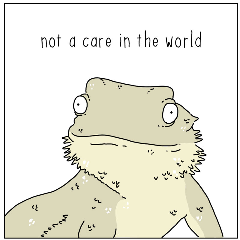 https://cdn.tinyview.com/they-can-talk/2025/05/05/bearded-dragon/beardeddragon4.jpg