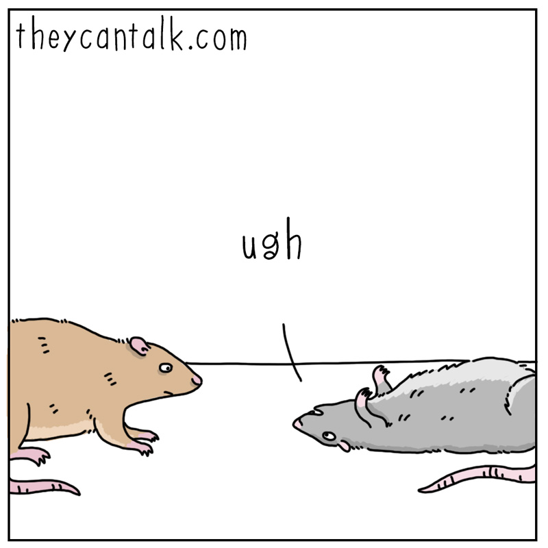 https://cdn.tinyview.com/they-can-talk/2025/05/09/poison/rat_poison1.jpg