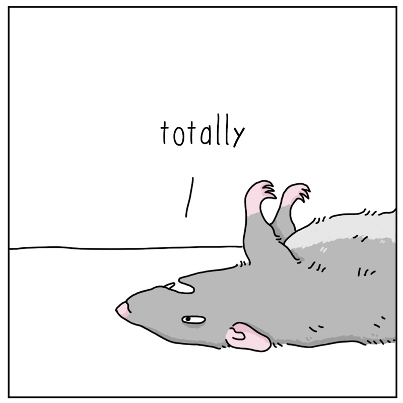 https://cdn.tinyview.com/they-can-talk/2025/05/09/poison/rat_poison4.jpg