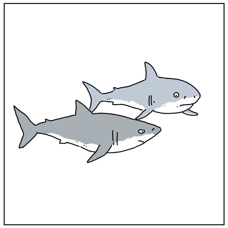https://cdn.tinyview.com/they-can-talk/2025/05/12/theme-song/shark_jawstheme3.jpg