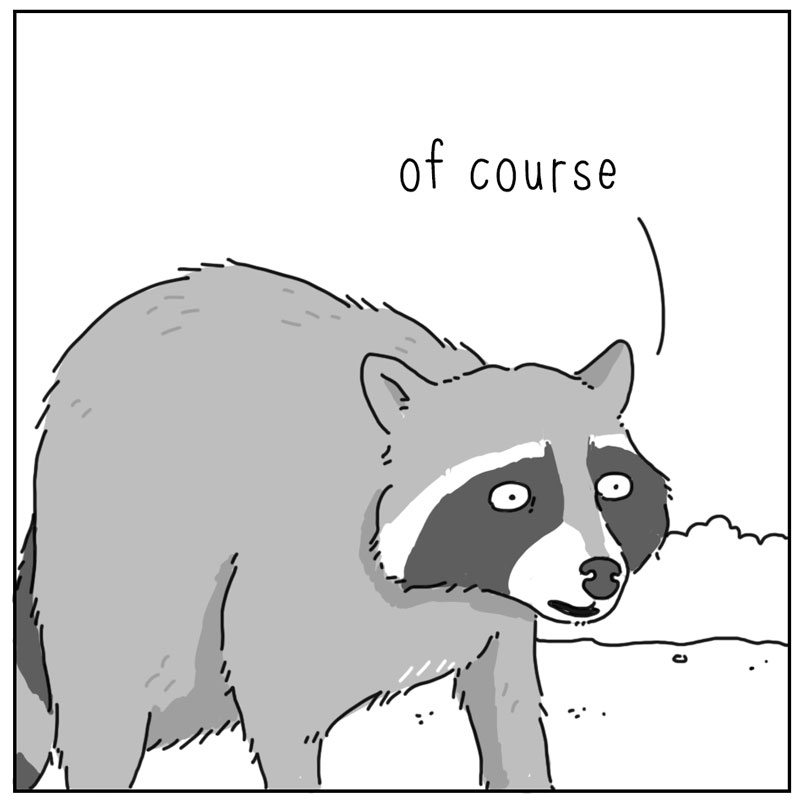 https://cdn.tinyview.com/they-can-talk/2025/05/16/pizza/raccoon_pizza2.jpg