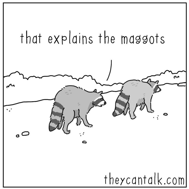 https://cdn.tinyview.com/they-can-talk/2025/05/16/pizza/raccoon_pizza4.jpg