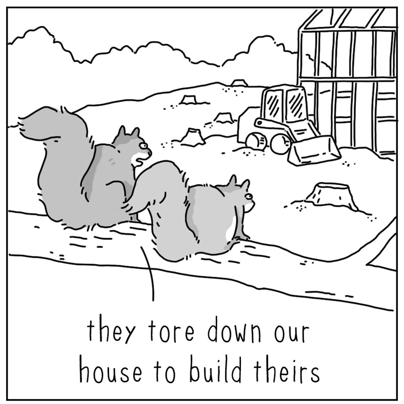 https://cdn.tinyview.com/they-can-talk/2025/05/19/home/squirrel_attic1.jpg