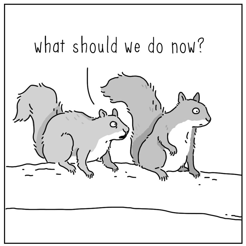 https://cdn.tinyview.com/they-can-talk/2025/05/19/home/squirrel_attic2.jpg
