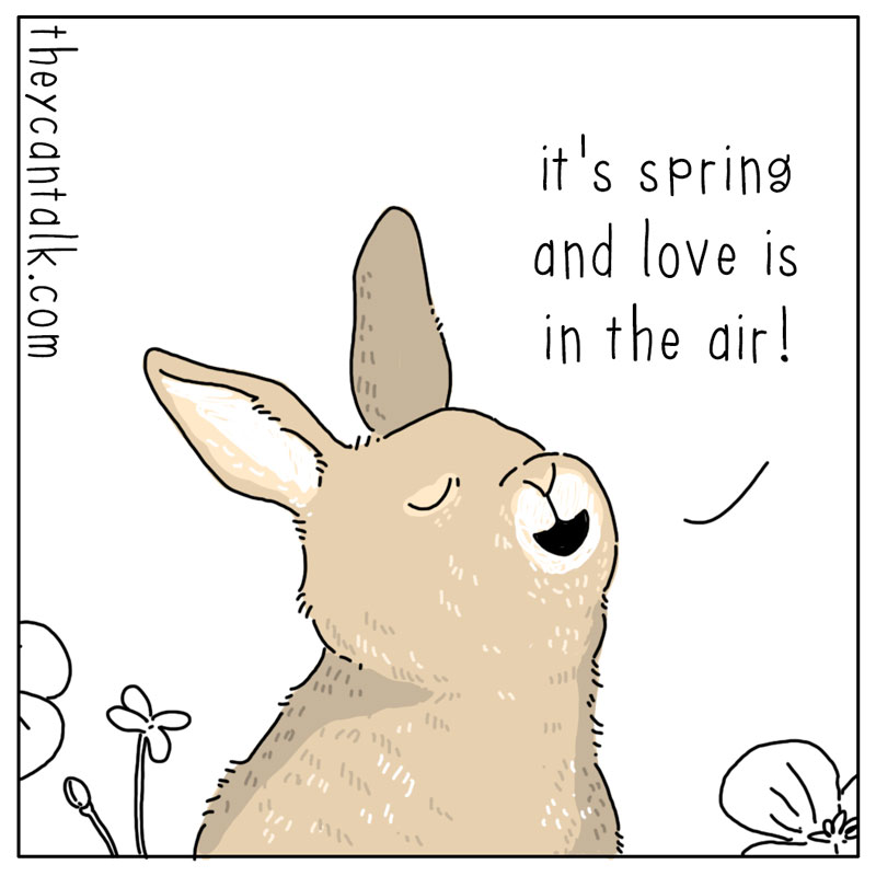 https://cdn.tinyview.com/they-can-talk/2025/05/23/love/rabbit_pollen1.jpg
