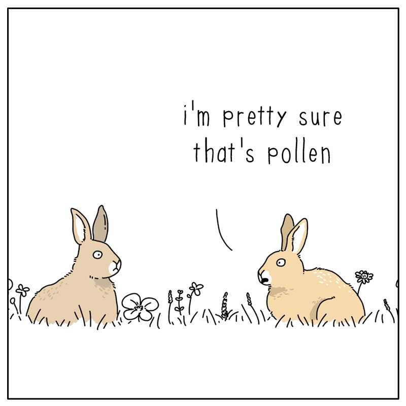 https://cdn.tinyview.com/they-can-talk/2025/05/23/love/rabbit_pollen2.jpg