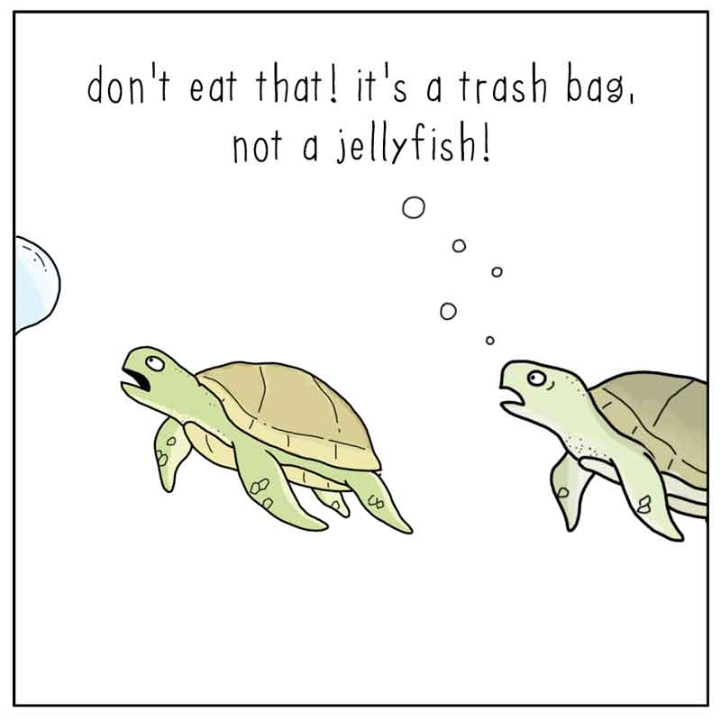 https://cdn.tinyview.com/they-can-talk/2025/06/05/close-call/seaturtle_jellyfish1.jpg