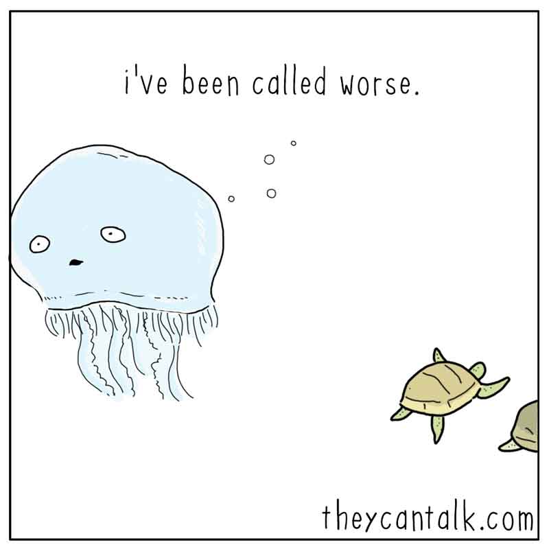 https://cdn.tinyview.com/they-can-talk/2025/06/05/close-call/seaturtle_jellyfish2.jpg