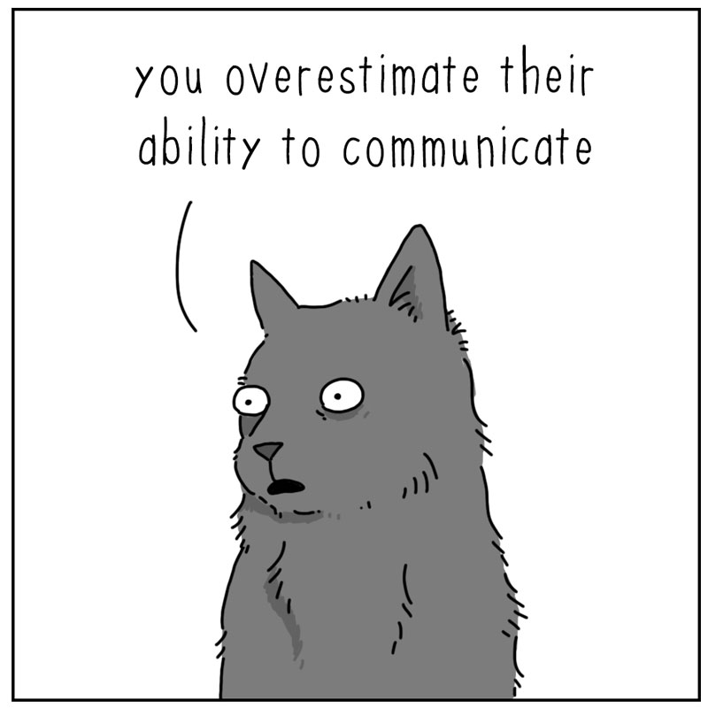 https://cdn.tinyview.com/they-can-talk/2025/06/09/communication/cat_communication2.jpg