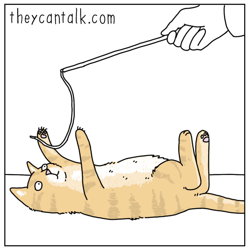 https://cdn.tinyview.com/they-can-talk/2025/06/12/string/cat_string1.jpg