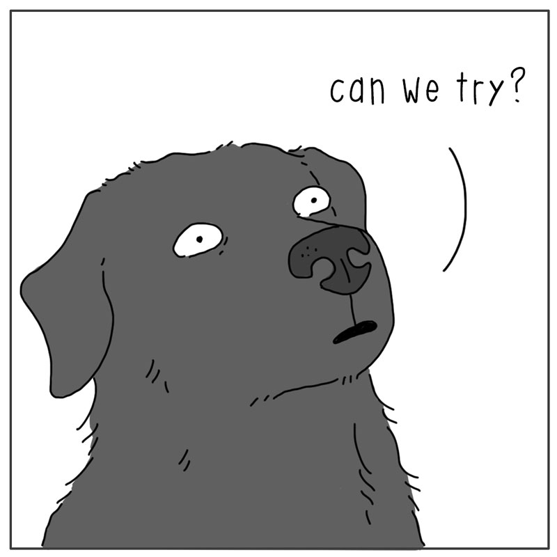 https://cdn.tinyview.com/they-can-talk/2025/06/16/forever/dog_fetchforever2.jpg