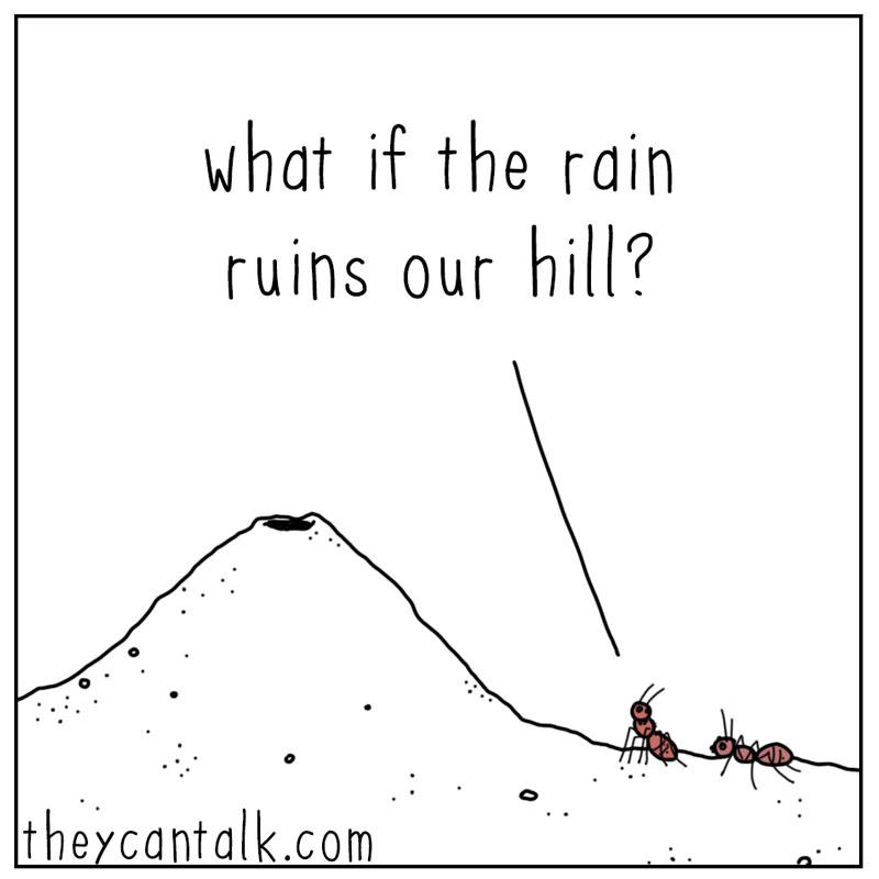 https://cdn.tinyview.com/they-can-talk/2025/06/19/persistence/ant_persistence1.jpg