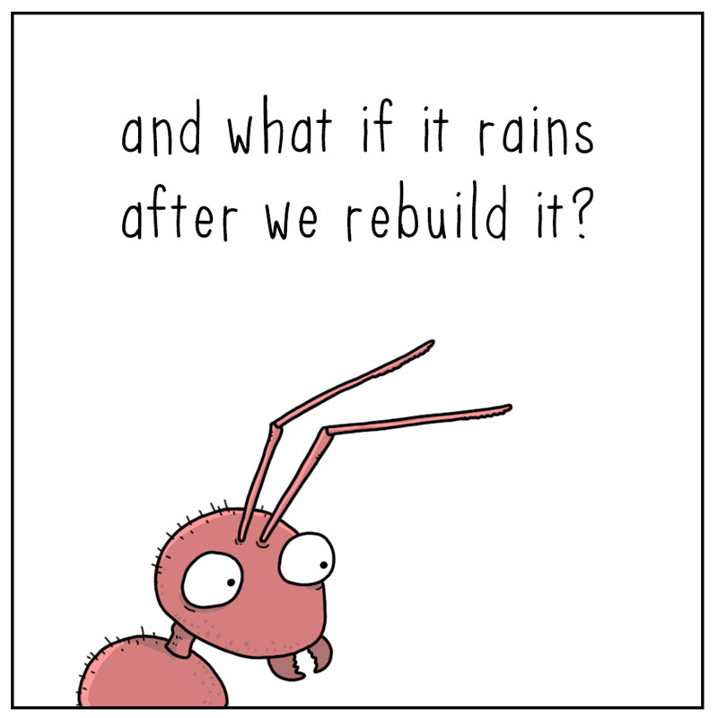 https://cdn.tinyview.com/they-can-talk/2025/06/19/persistence/ant_persistence3.jpg