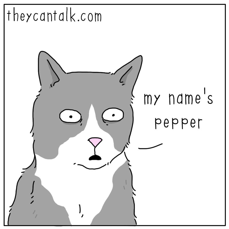 https://cdn.tinyview.com/they-can-talk/2025/06/22/name/cat_answer1.jpg