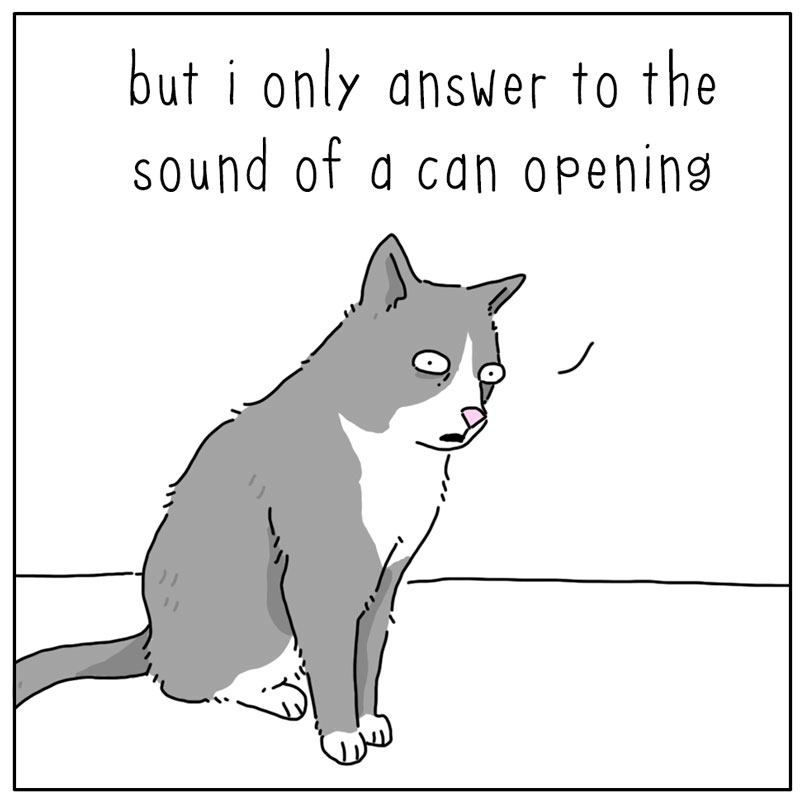 https://cdn.tinyview.com/they-can-talk/2025/06/22/name/cat_answer2.jpg