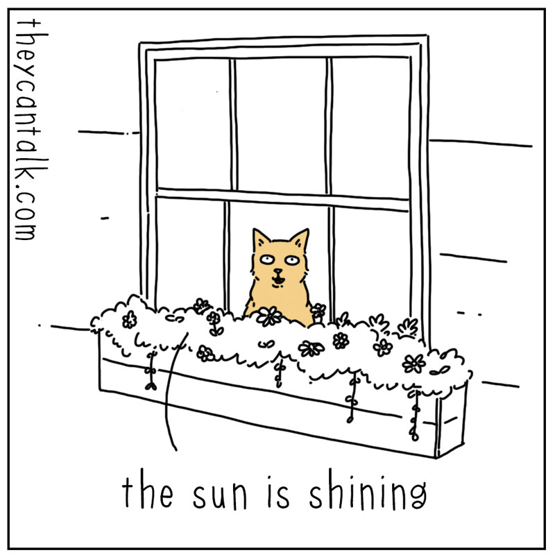 https://cdn.tinyview.com/they-can-talk/2025/06/27/singing/cat_birdssinging1.jpg