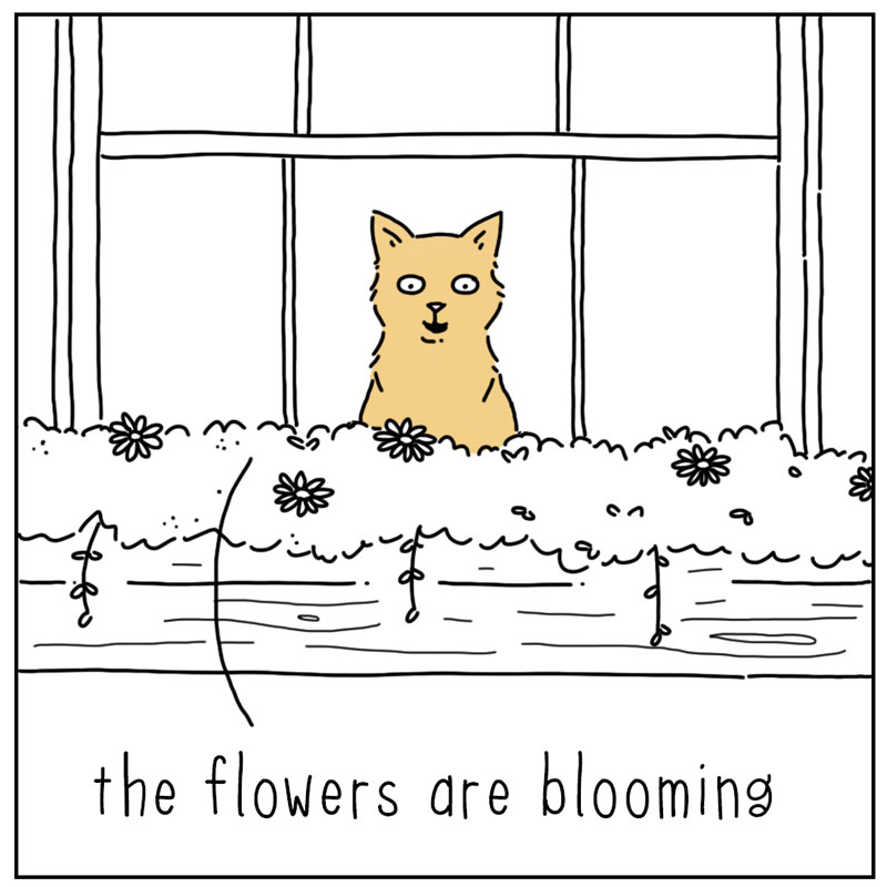 https://cdn.tinyview.com/they-can-talk/2025/06/27/singing/cat_birdssinging2.jpg
