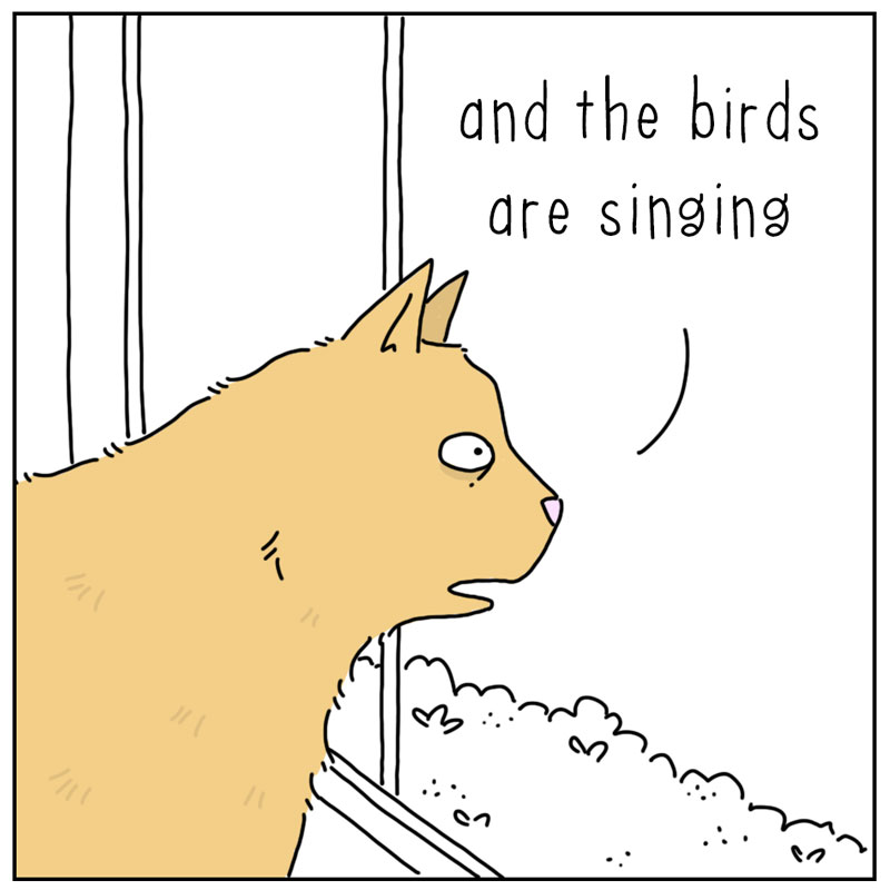 https://cdn.tinyview.com/they-can-talk/2025/06/27/singing/cat_birdssinging3.jpg