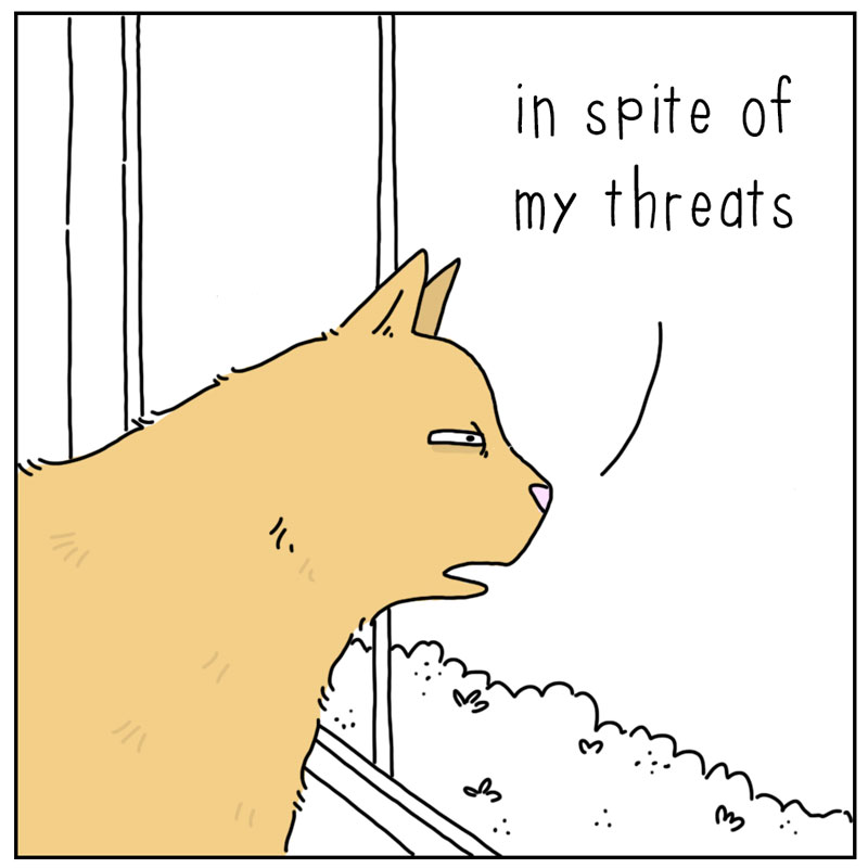 https://cdn.tinyview.com/they-can-talk/2025/06/27/singing/cat_birdssinging4.jpg
