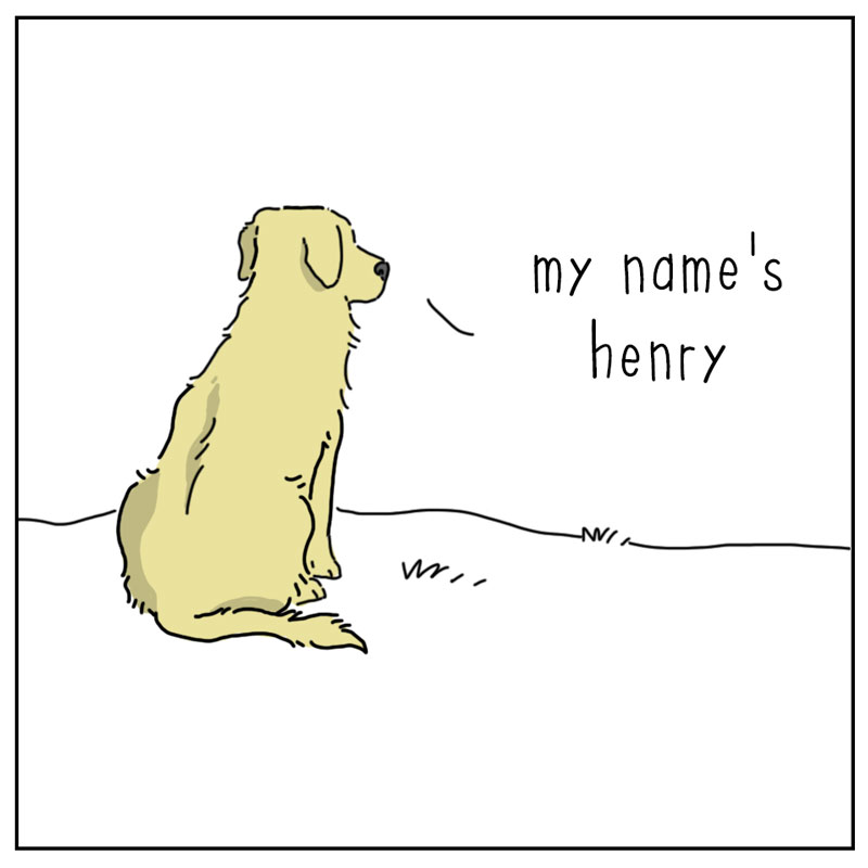 https://cdn.tinyview.com/they-can-talk/2025/06/30/name-pt-2/dog_name1.jpg