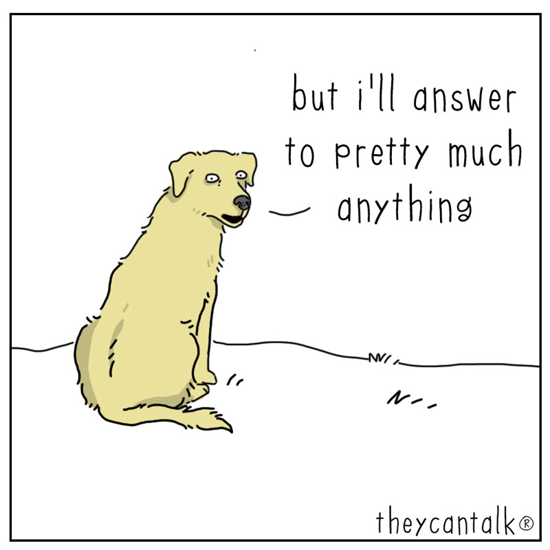 https://cdn.tinyview.com/they-can-talk/2025/06/30/name-pt-2/dog_name2.jpg