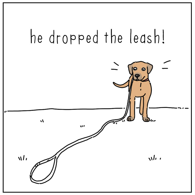 https://cdn.tinyview.com/they-can-talk/2025/07/04/anywhere/dog_leash2_1.jpg