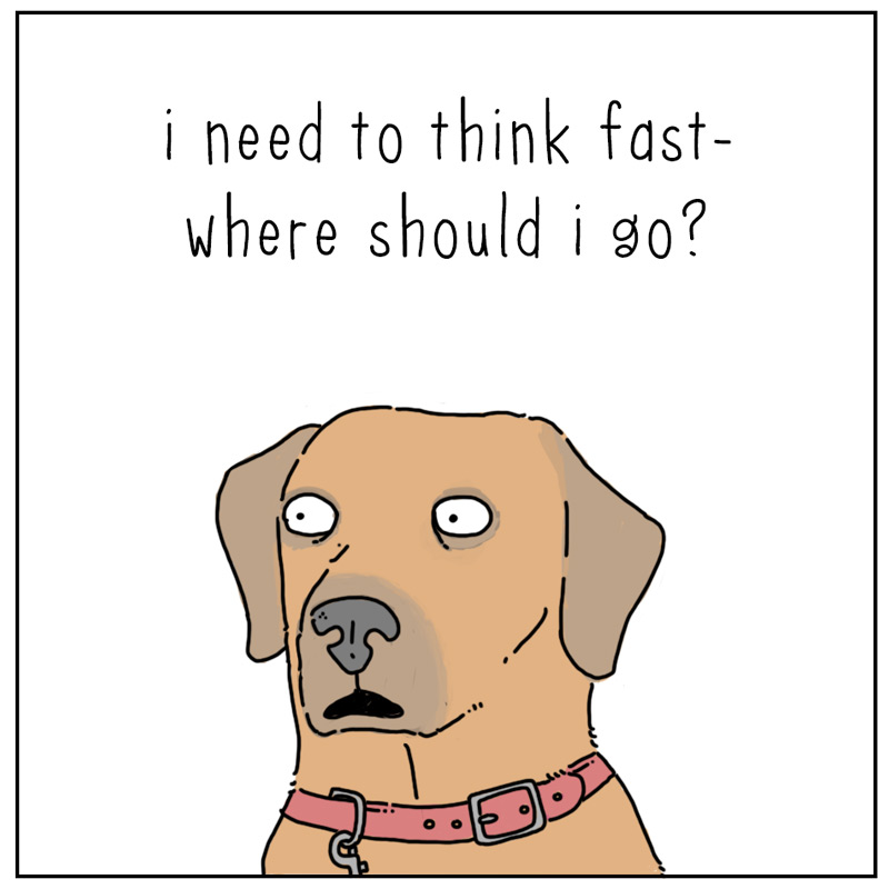 https://cdn.tinyview.com/they-can-talk/2025/07/04/anywhere/dog_leash2_2.jpg