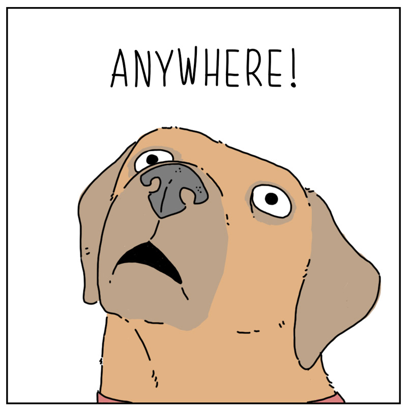 https://cdn.tinyview.com/they-can-talk/2025/07/04/anywhere/dog_leash2_3.jpg