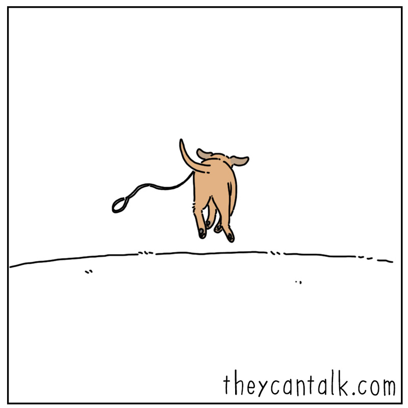 https://cdn.tinyview.com/they-can-talk/2025/07/04/anywhere/dog_leash2_4.jpg