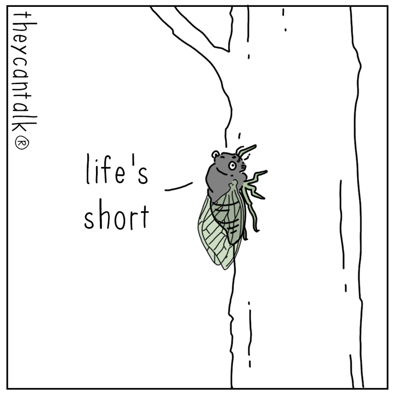 https://cdn.tinyview.com/they-can-talk/2025/07/07/proverb/cicada_loud1.jpg