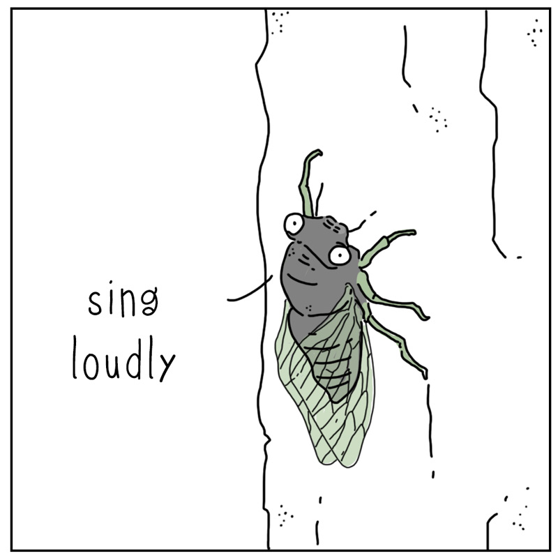 https://cdn.tinyview.com/they-can-talk/2025/07/07/proverb/cicada_loud2.jpg
