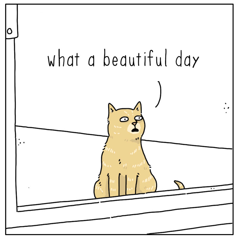 https://cdn.tinyview.com/they-can-talk/2025/07/11/beautiful-day/cat_complain1.jpg