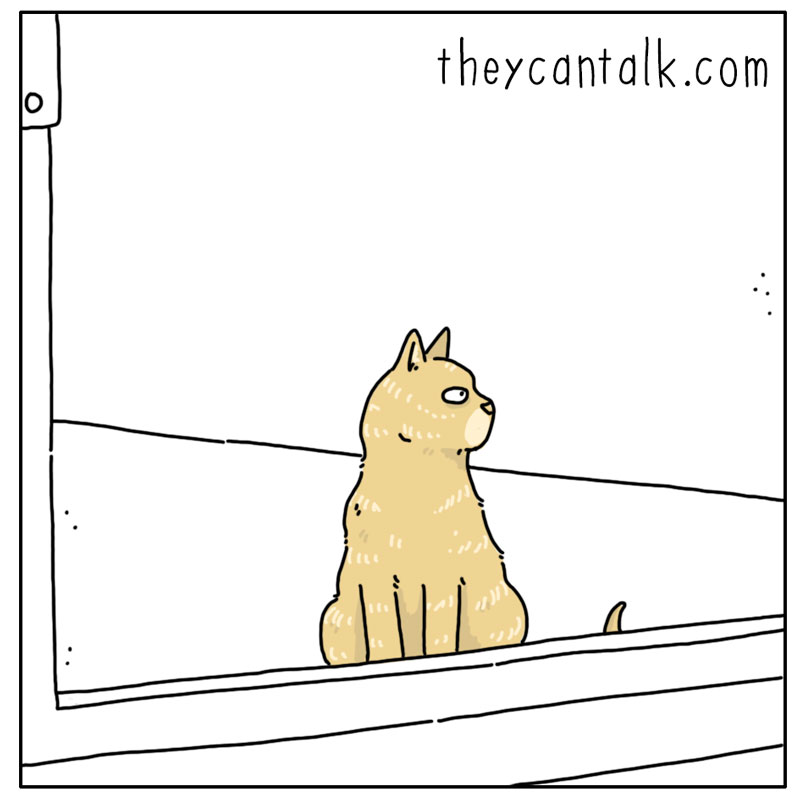 https://cdn.tinyview.com/they-can-talk/2025/07/11/beautiful-day/cat_complain2.jpg