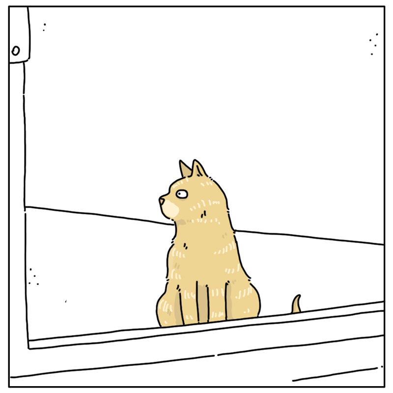 https://cdn.tinyview.com/they-can-talk/2025/07/11/beautiful-day/cat_complain3.jpg