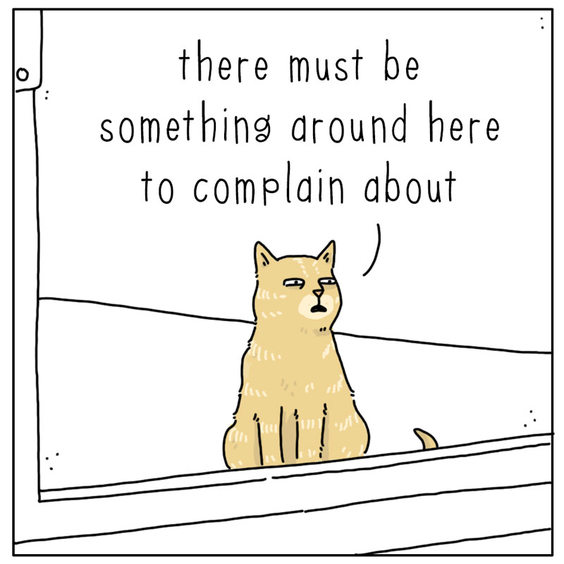 https://cdn.tinyview.com/they-can-talk/2025/07/11/beautiful-day/cat_complain4.jpg