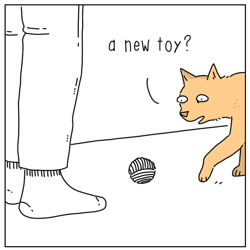 https://cdn.tinyview.com/they-can-talk/2025/07/14/new-toy/cat_satisfaction1.jpg