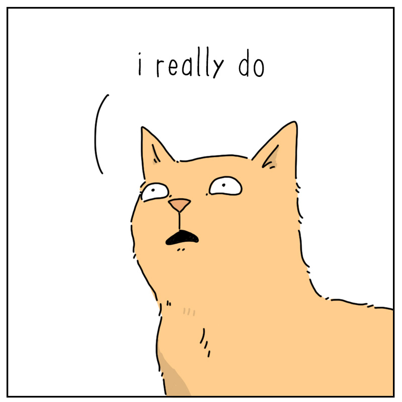 https://cdn.tinyview.com/they-can-talk/2025/07/14/new-toy/cat_satisfaction3.jpg