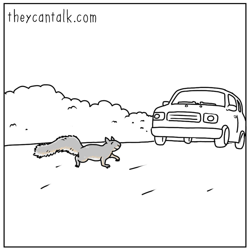https://cdn.tinyview.com/they-can-talk/2025/07/18/close-call/squirrel_invincible1.jpg