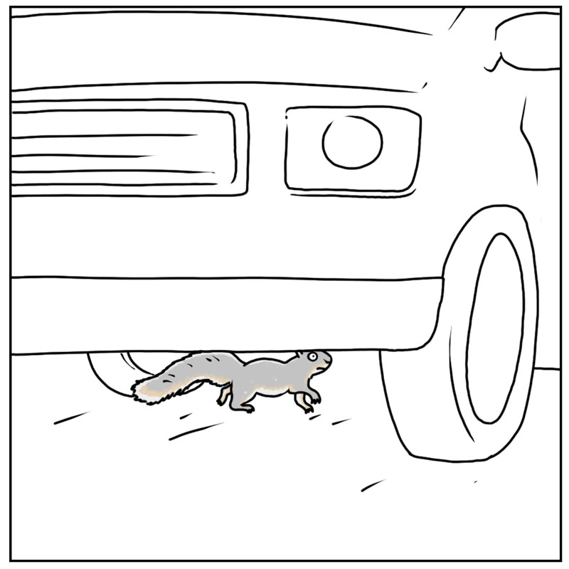 https://cdn.tinyview.com/they-can-talk/2025/07/18/close-call/squirrel_invincible2.jpg