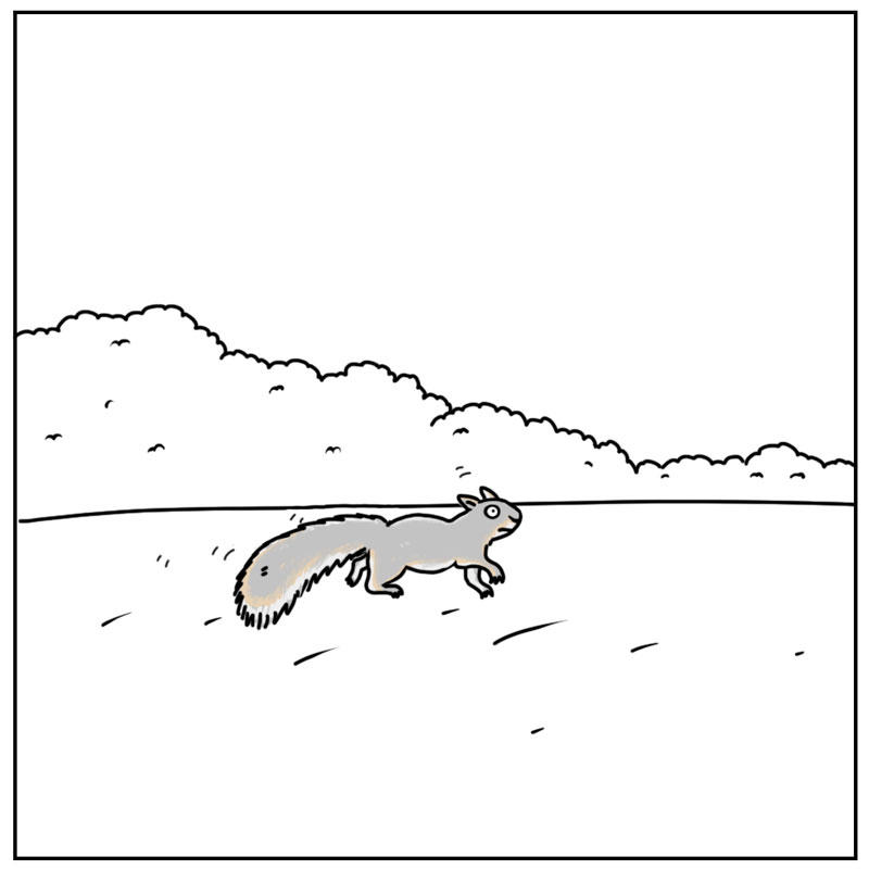 https://cdn.tinyview.com/they-can-talk/2025/07/18/close-call/squirrel_invincible3.jpg
