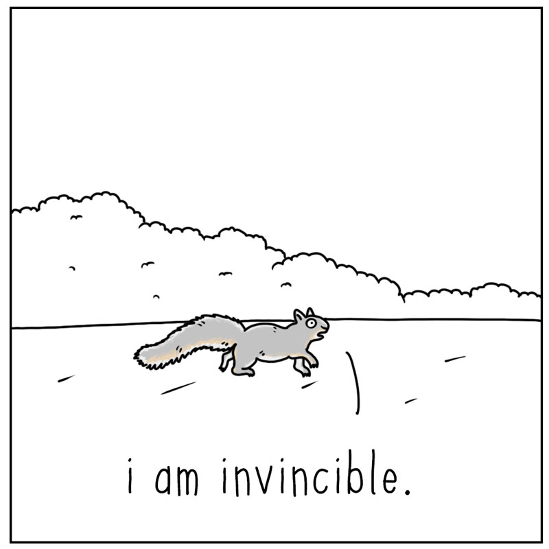 https://cdn.tinyview.com/they-can-talk/2025/07/18/close-call/squirrel_invincible4.jpg