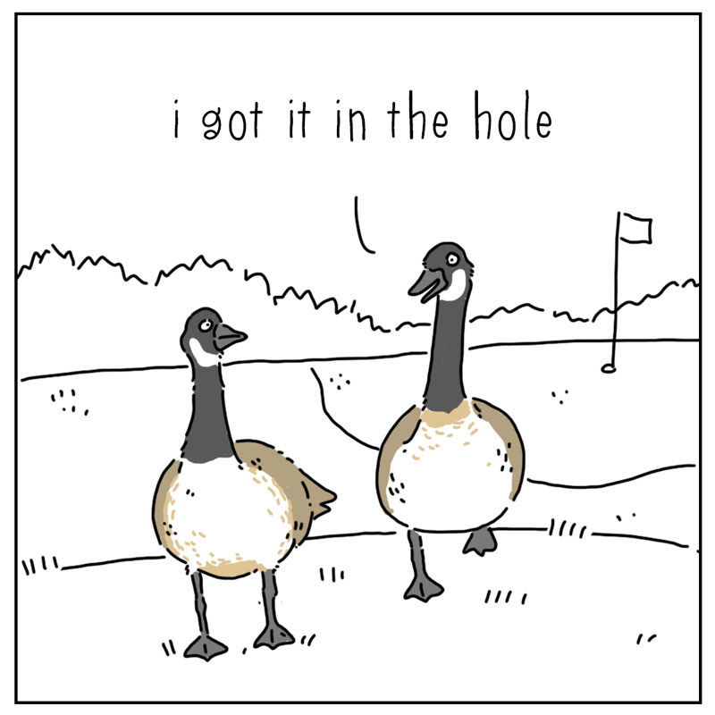 https://cdn.tinyview.com/they-can-talk/2025/07/28/golf/goose_golf1.jpg