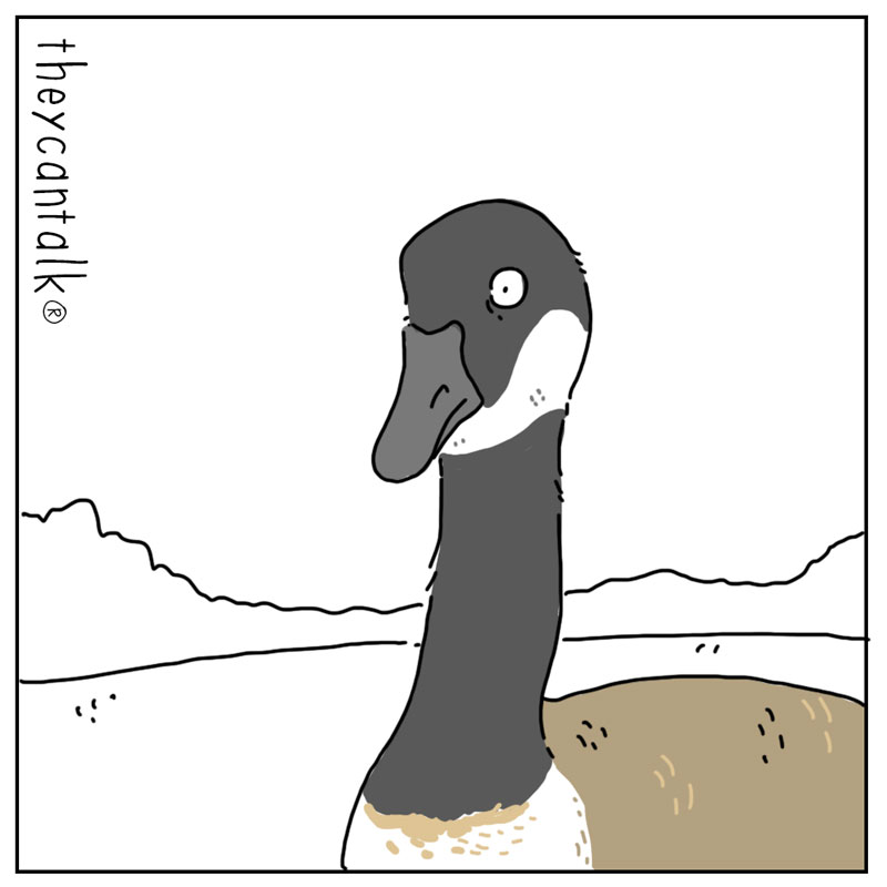 https://cdn.tinyview.com/they-can-talk/2025/07/28/golf/goose_golf3.jpg