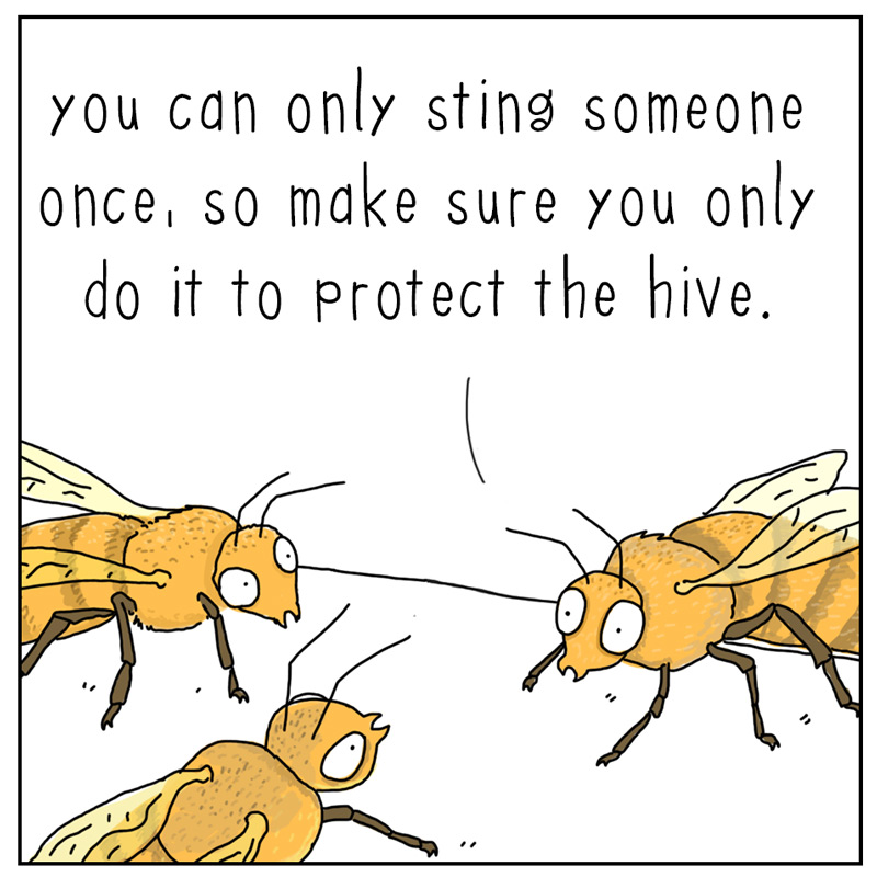 https://cdn.tinyview.com/they-can-talk/2025/08/01/exception/bee_exception1.jpg