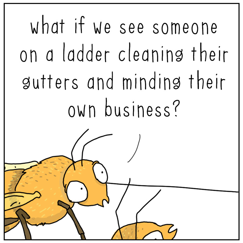 https://cdn.tinyview.com/they-can-talk/2025/08/01/exception/bee_exception2.jpg