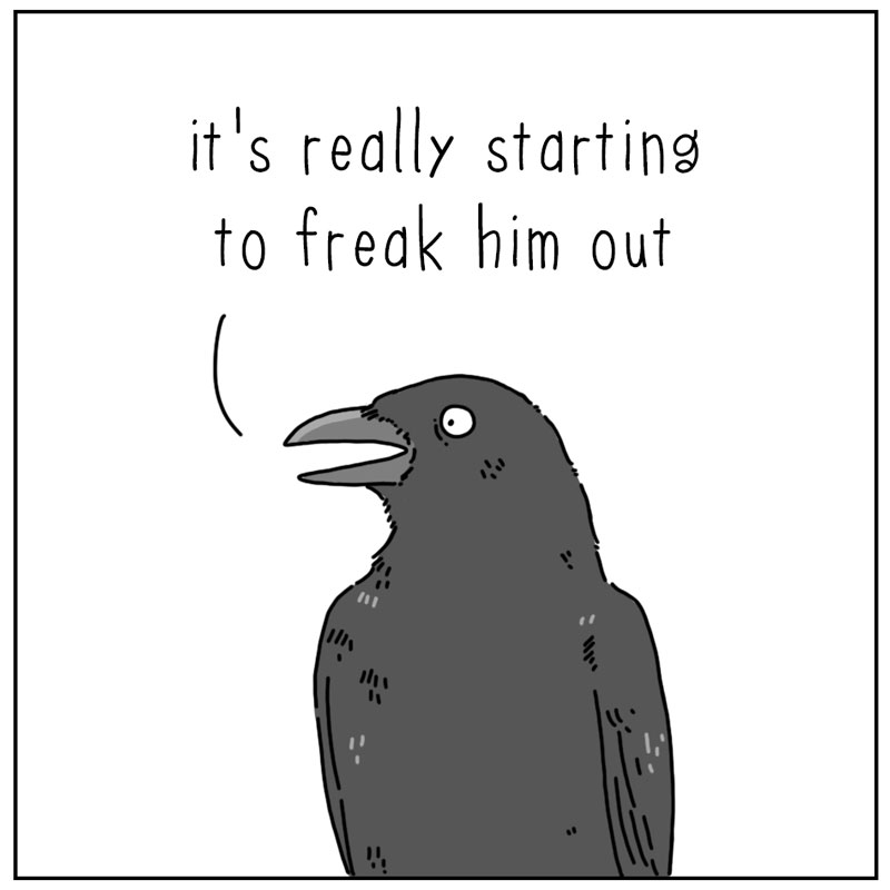 https://cdn.tinyview.com/they-can-talk/2025/08/04/following/crow_follow2.jpg