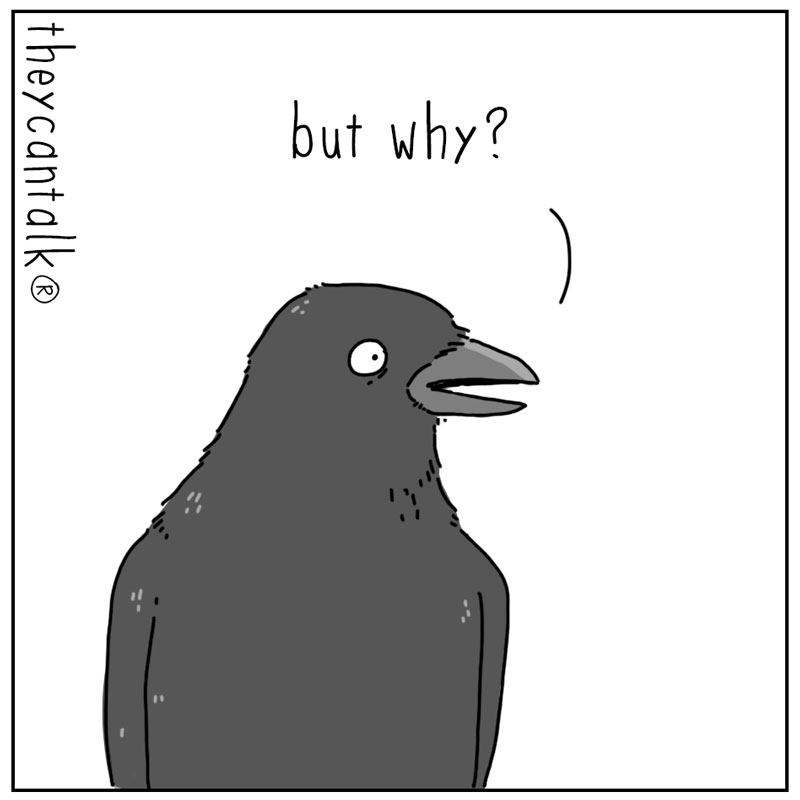 https://cdn.tinyview.com/they-can-talk/2025/08/04/following/crow_follow3.jpg