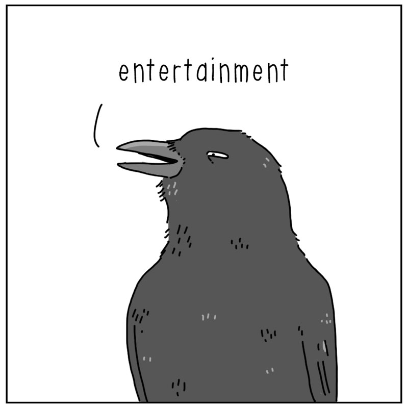 https://cdn.tinyview.com/they-can-talk/2025/08/04/following/crow_follow4.jpg