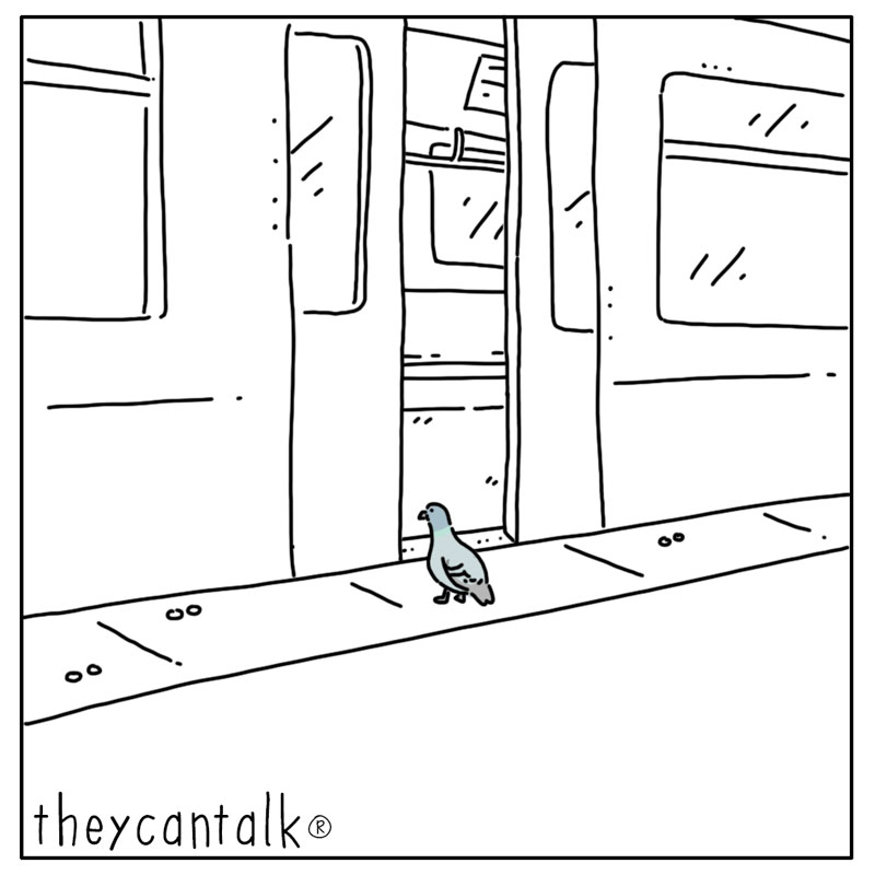 https://cdn.tinyview.com/they-can-talk/2025/08/11/train/pigeon_train1.jpg